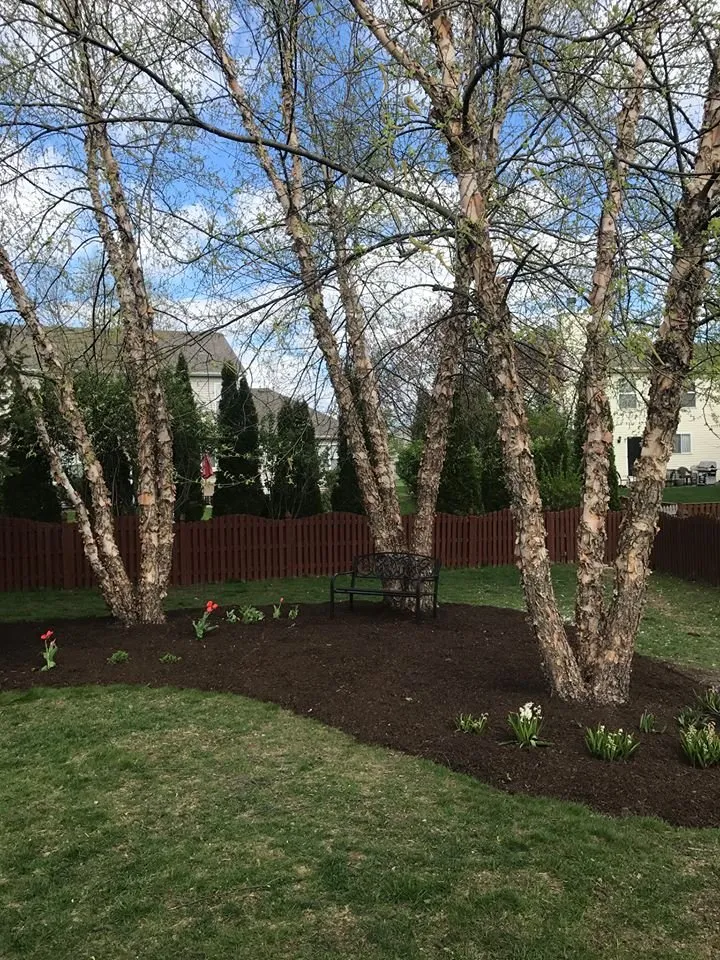 Top-rated outdoor landscaping for beautiful yards in Aurora, IL by Rick's Mulch And Snow