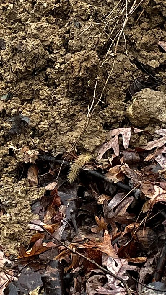 Affordable landscape installation in Fowlerville, MI - Rick's Outdoor Services