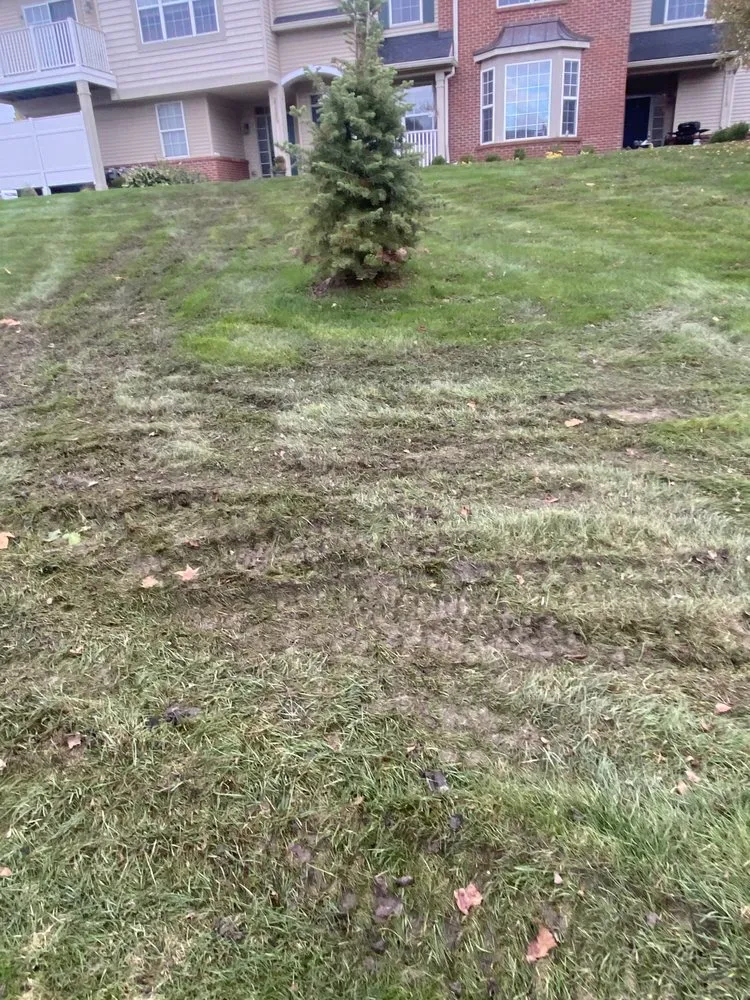 Professional outdoor landscaping for outdoor upgrades in Fowlerville, MI by Rick's Outdoor Services