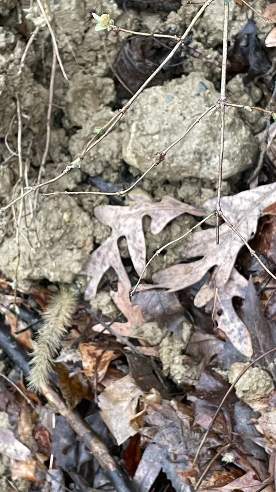 Top-rated lawn mowing service for residential properties in Fowlerville, MI by Rick's Outdoor Services