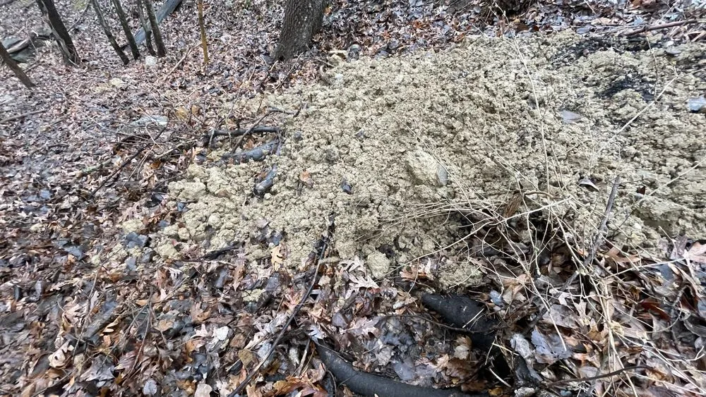 Affordable lawn care service experts serving Fowlerville, MI - Rick's Outdoor Services