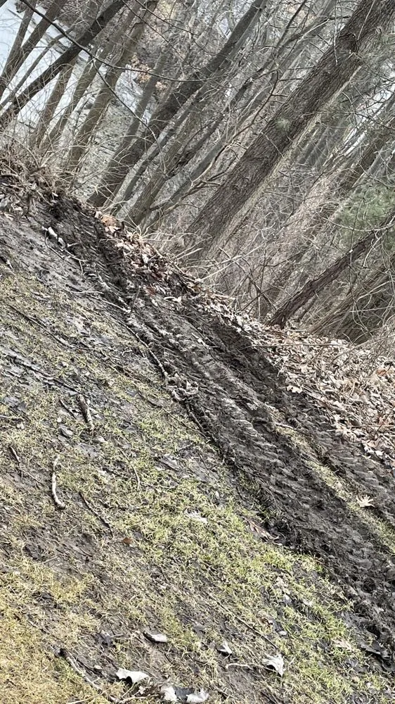 Trusted yard cleanup service experts serving Fowlerville, MI - Rick's Outdoor Services