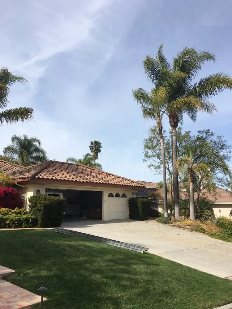Affordable lawn mowing service in Agoura, CA by Rick's Palm Tree Service