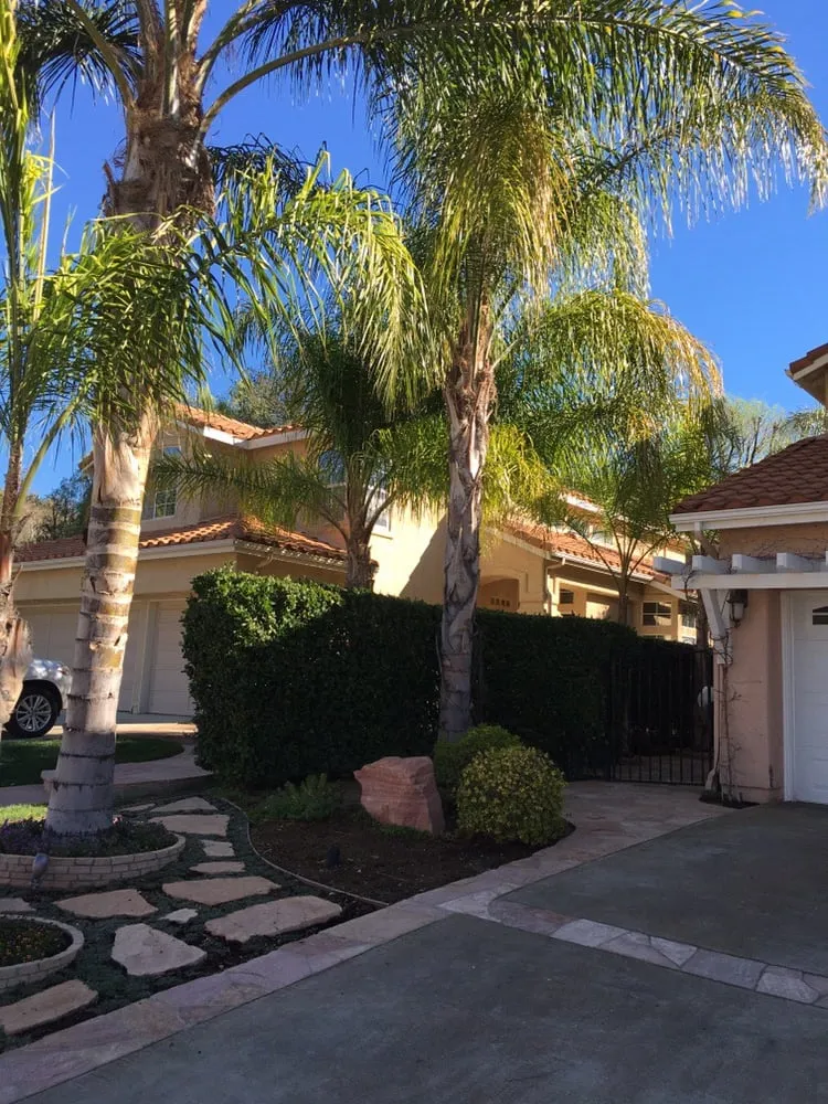 Top-rated yard cleanup service in Agoura, CA - Rick's Palm Tree Service