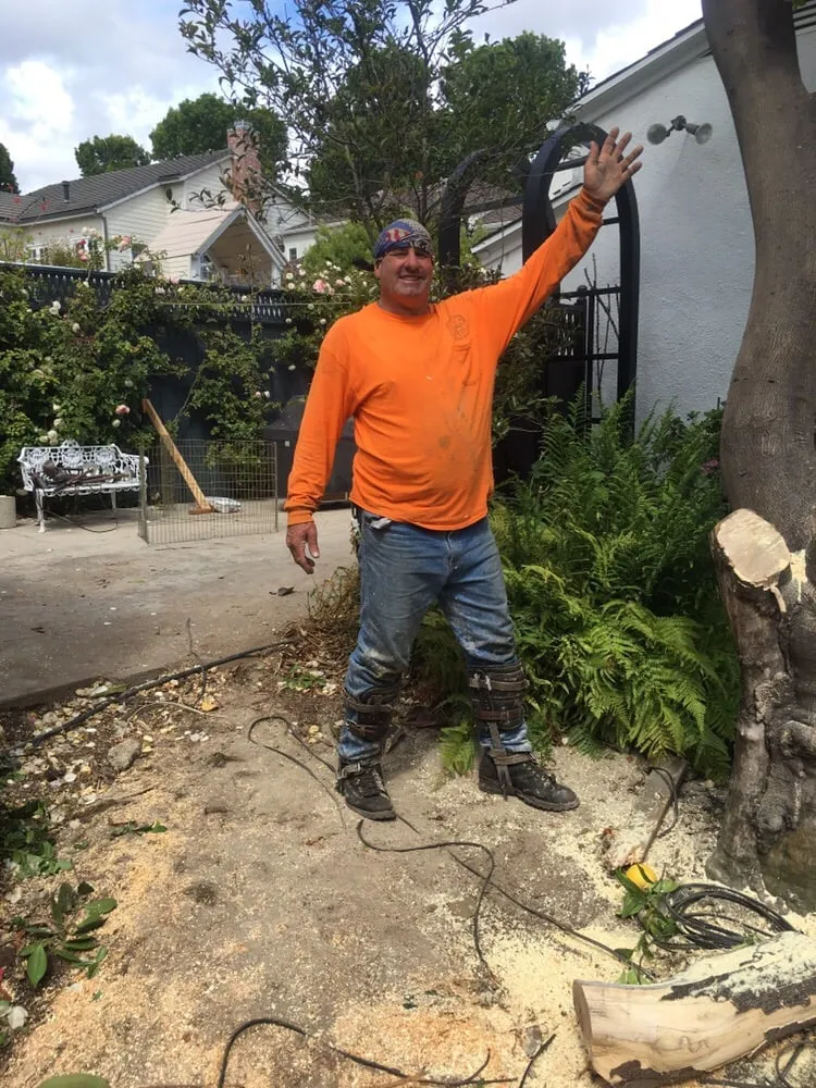 Custom landscape installation with custom design across Agoura, CA - Rick's Palm Tree Service
