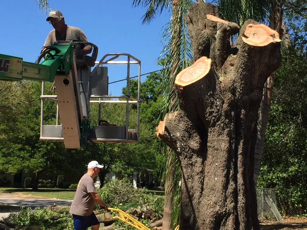 Custom landscaping services for residential properties across Coral Springs, FL - Rick's Tree And Landscaping Services