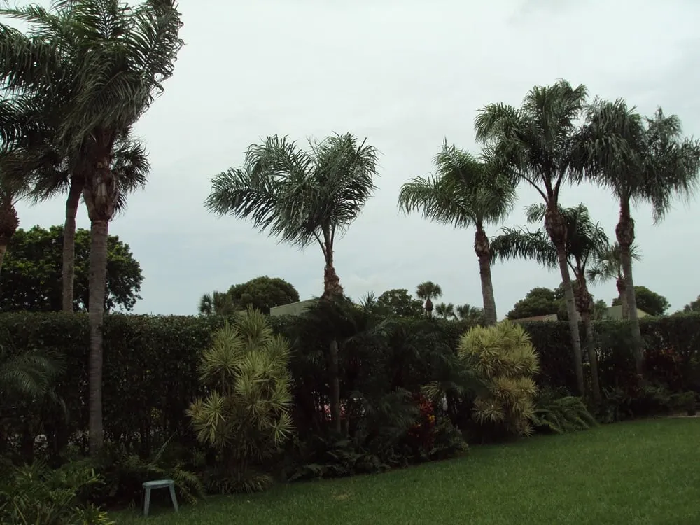 Top-rated garden landscaping in Coral Springs, FL - Rick's Tree And Landscaping Services
