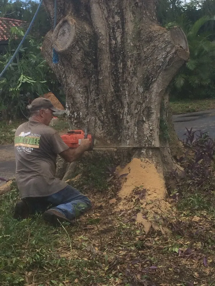 Custom landscaping services in Coral Springs, FL - Rick's Tree And Landscaping Services