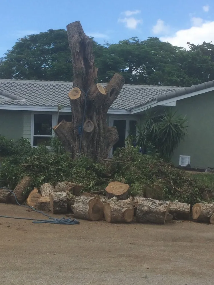 Reliable landscaping services with custom design in Coral Springs, FL by Rick's Tree And Landscaping Services