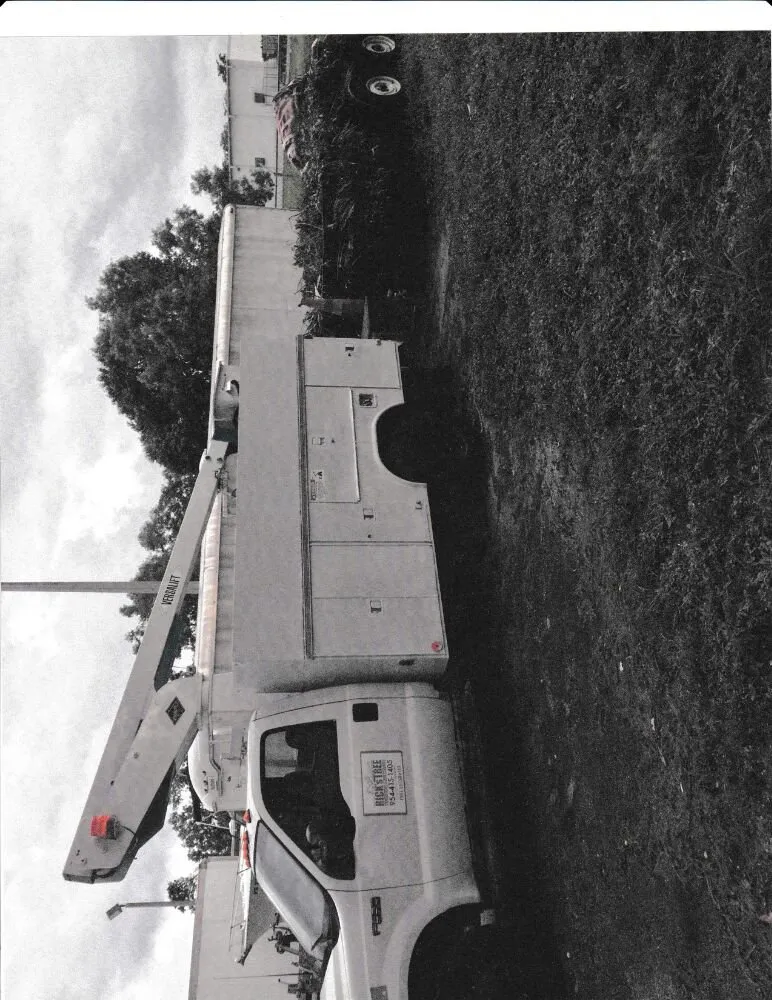 Affordable landscape design in Coral Springs, FL - Rick's Tree And Landscaping Services