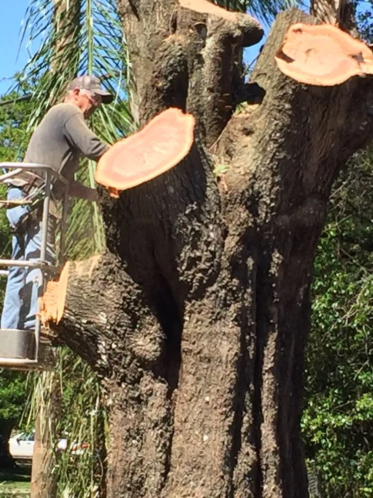 Reliable garden landscaping in Coral Springs, FL by Rick's Tree And Landscaping Services