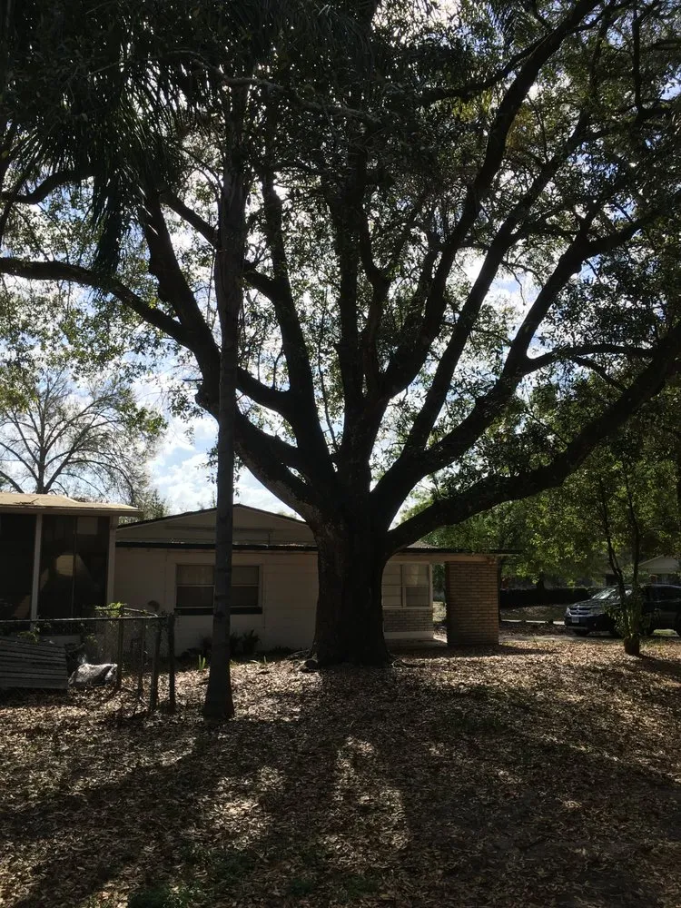 Trusted lawn mowing service in Coral Springs, FL by Rick's Tree And Landscaping Services