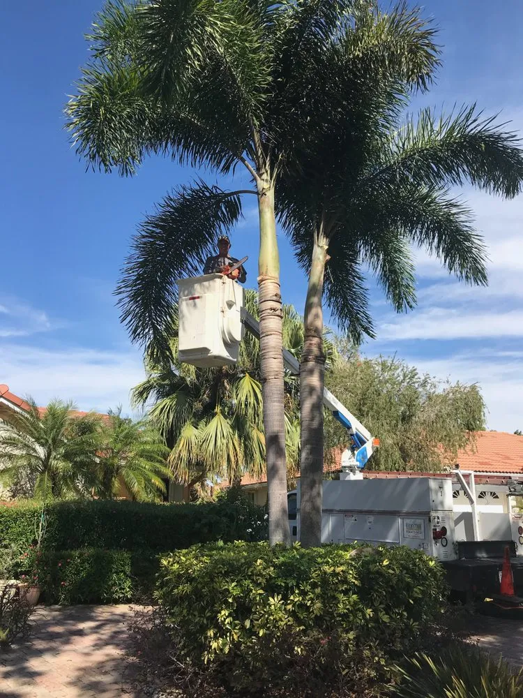 Expert yard maintenance experts serving Coral Springs, FL - Rick's Tree And Landscaping Services
