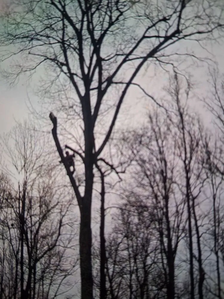 Professional landscaping services near you in Culpeper, VA by Rick's Tree Service and Landscaping