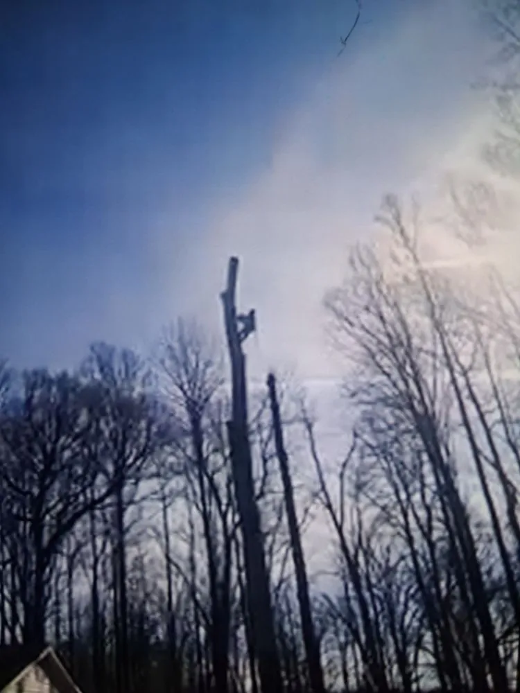 Custom outdoor landscaping in Culpeper, VA by Rick's Tree Service and Landscaping