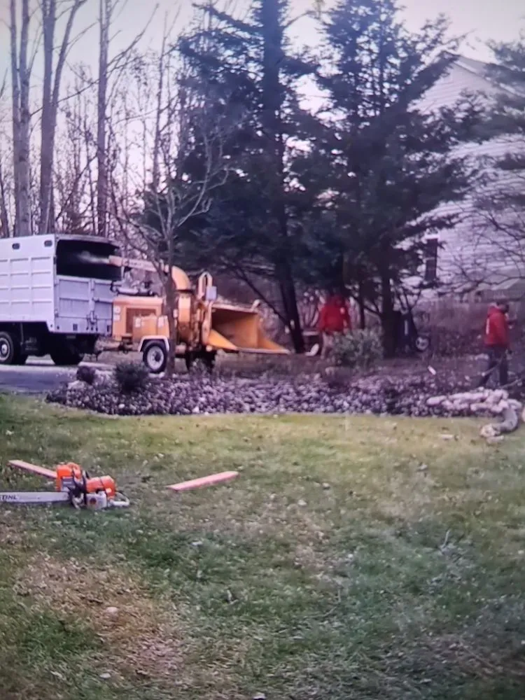 Professional outdoor landscaping experts serving Culpeper, VA - Rick's Tree Service and Landscaping