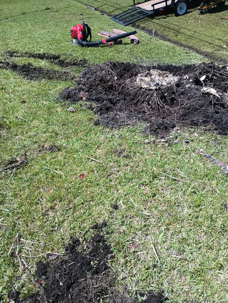 Top-rated outdoor landscaping in Fort Lauderdale, FL - Rick’s Tree Trimming