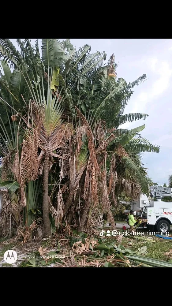 Expert lawn mowing service for outdoor upgrades in Fort Lauderdale, FL by Rick’s Tree Trimming