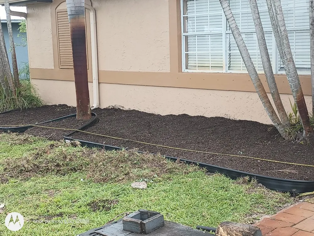 Affordable residential landscaping in Fort Lauderdale, FL - Rick’s Tree Trimming