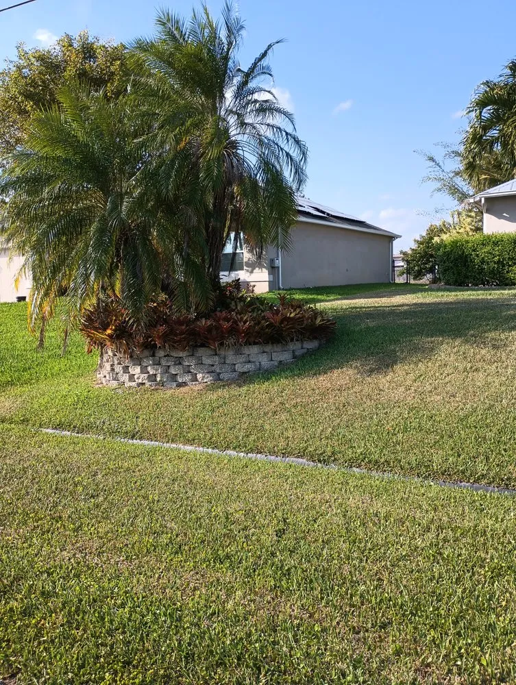 Affordable lawn mowing service for residential properties across Fort Lauderdale, FL - Rick’s Tree Trimming