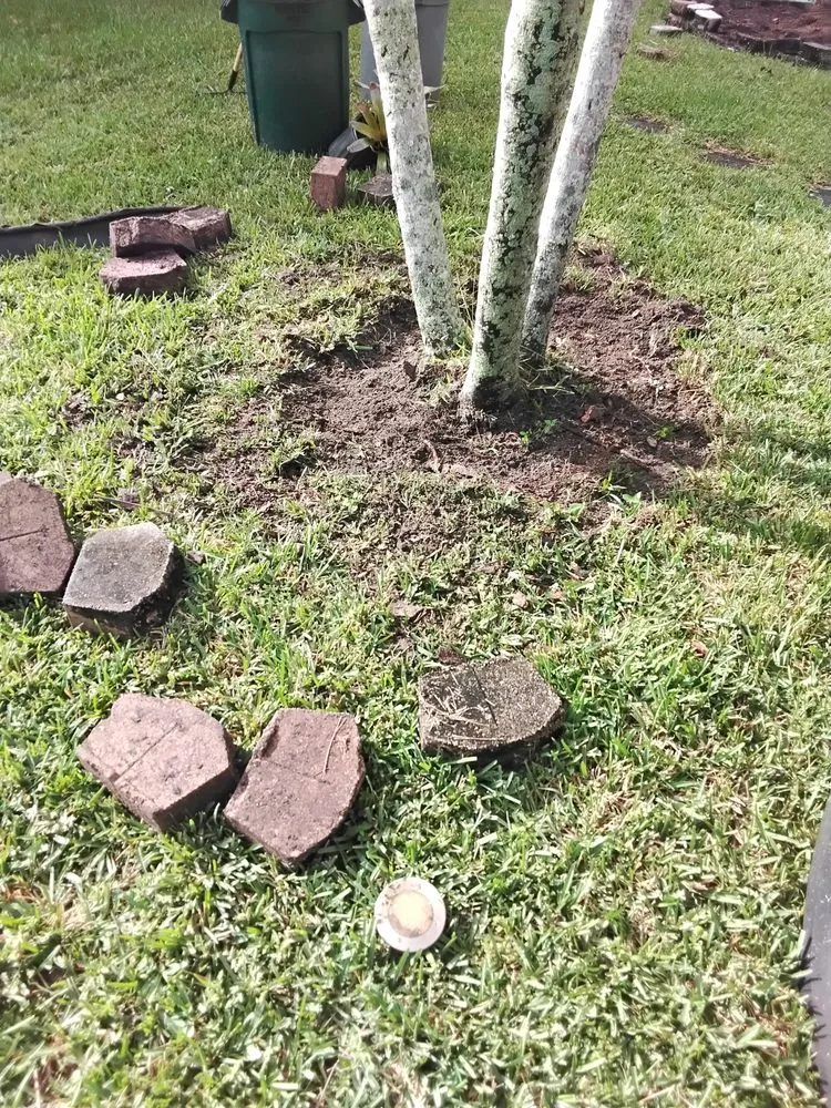 Reliable lawn mowing service with custom design across Fort Lauderdale, FL - Rick’s Tree Trimming