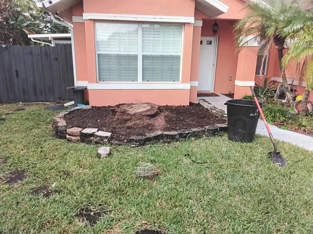 Expert landscaping services in Fort Lauderdale, FL by Rick’s Tree Trimming