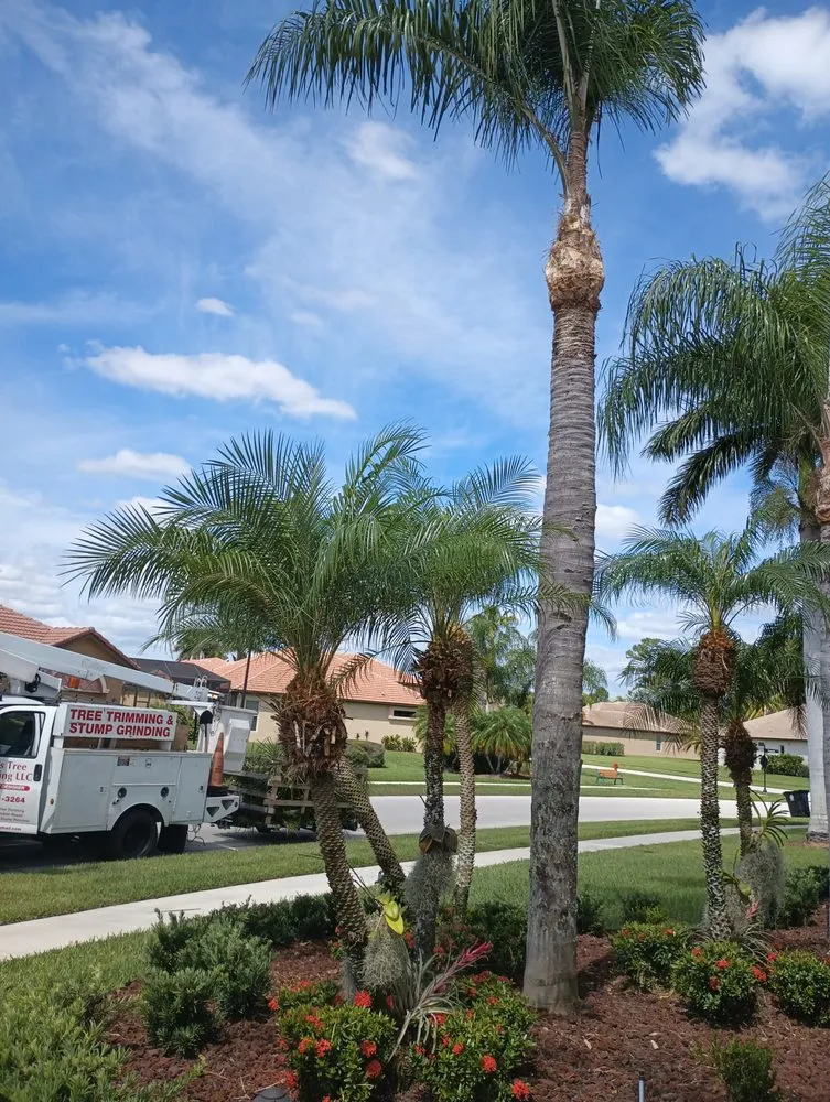 Local landscape installation in Fort Lauderdale, FL - Rick’s Tree Trimming