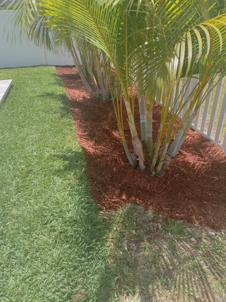 Professional residential landscaping for residential properties in Wimauma, FL by Ricky Lawn and Landscaping