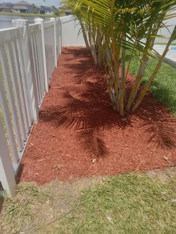 Expert lawn care service for beautiful yards in Wimauma, FL by Ricky Lawn and Landscaping