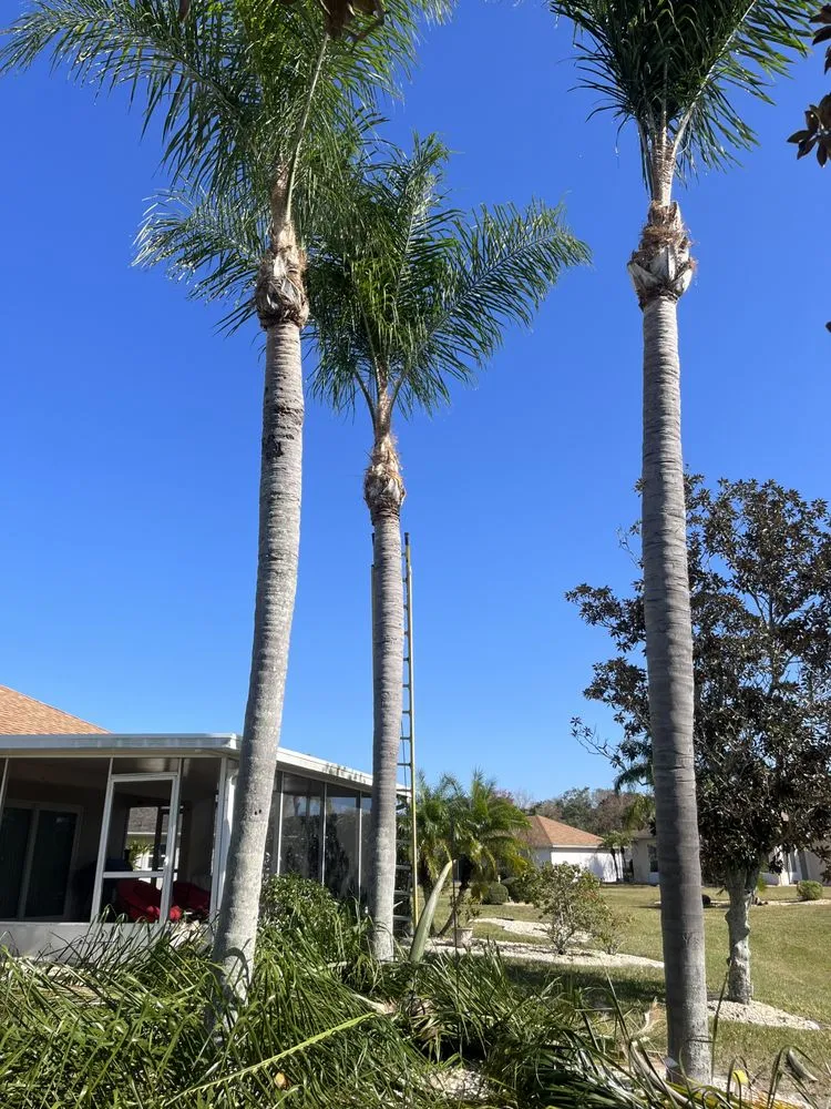 Affordable yard maintenance experts serving Wimauma, FL - Ricky Lawn and Landscaping