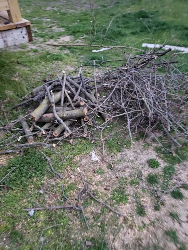 Expert yard maintenance in Kalamazoo, MI by Ricky Skinner