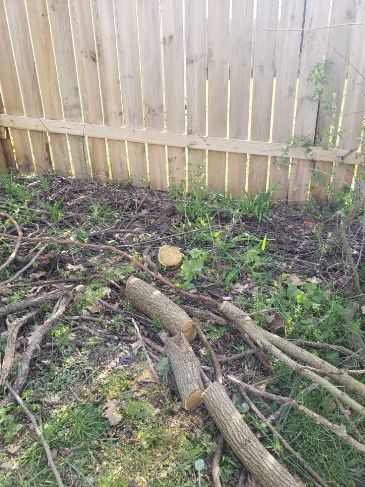 Affordable yard maintenance in Kalamazoo, MI by Ricky Skinner