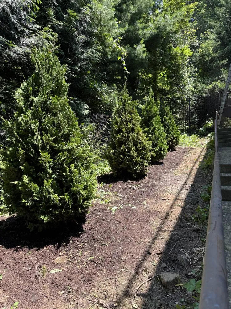 Reliable lawn mowing service in Port Chester, NY - Ricky Tree & Landscaping Services