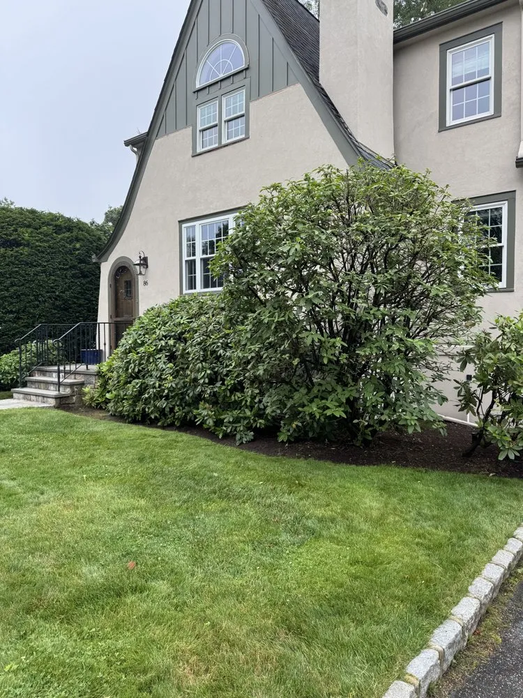 Reliable lawn mowing service for residential properties in Port Chester, NY by Ricky Tree & Landscaping Services