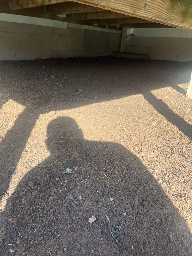 Top-rated residential landscaping in Port Chester, NY - Ricky Tree & Landscaping Services