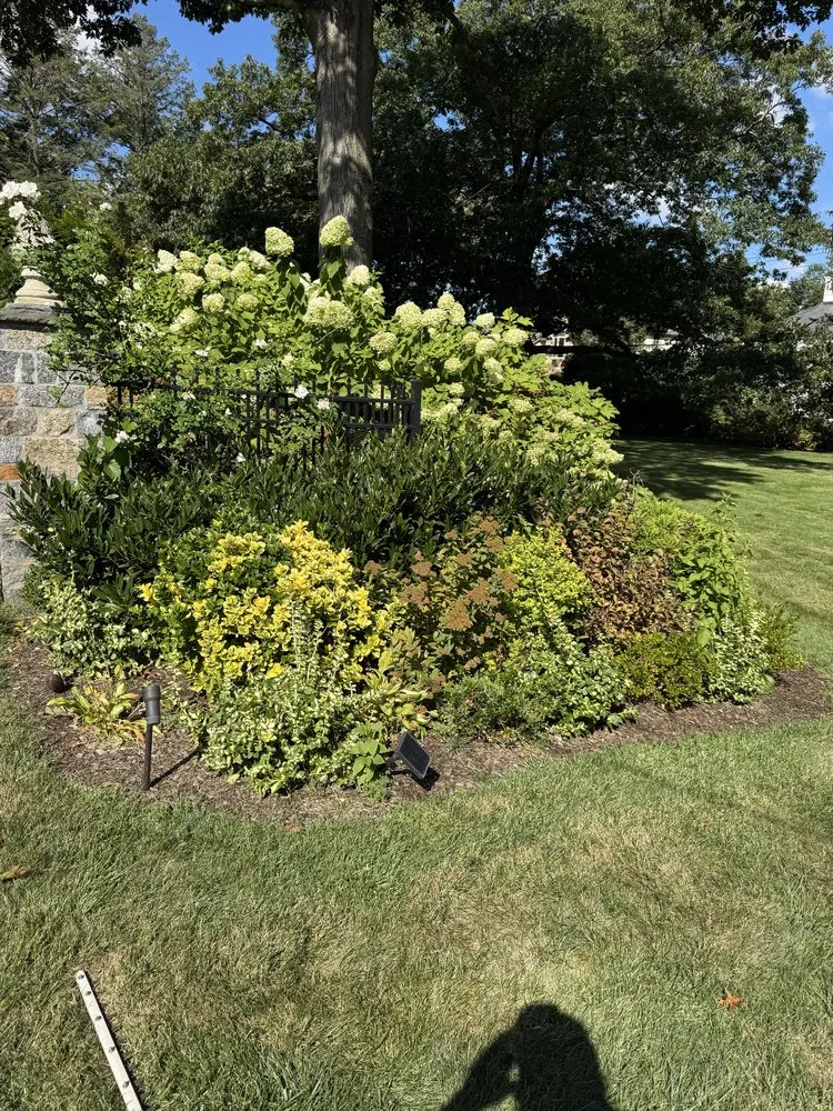 Reliable lawn care service experts serving Port Chester, NY - Ricky Tree & Landscaping Services