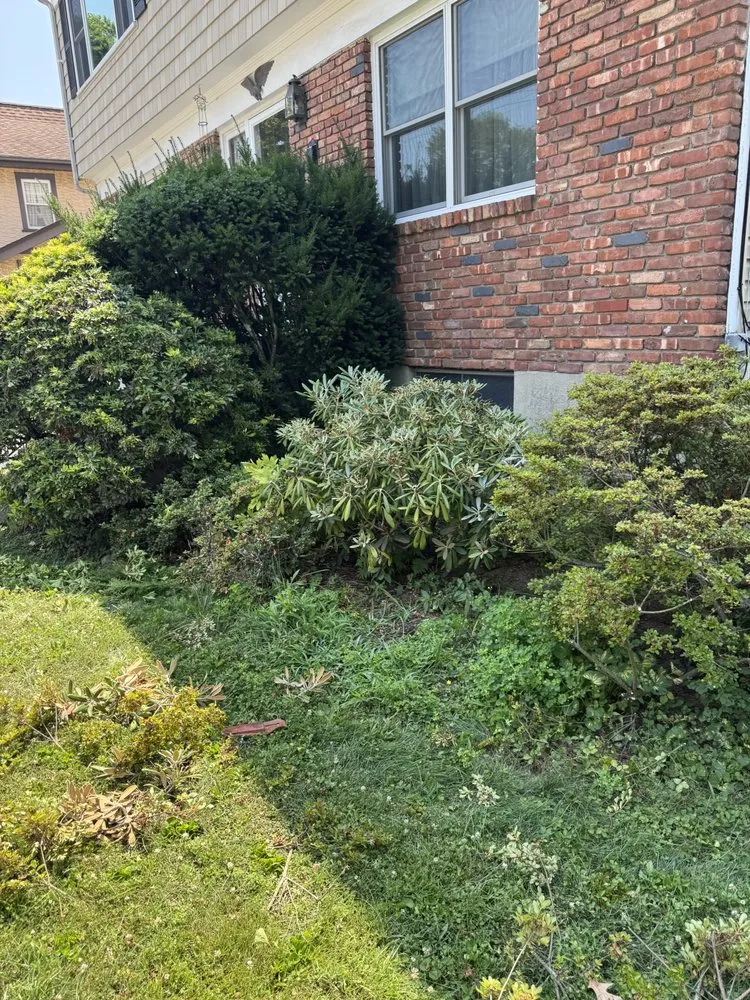 Affordable landscaping services experts serving Port Chester, NY - Ricky Tree & Landscaping Services