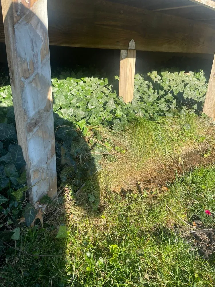 Trusted landscape design in Port Chester, NY by Ricky Tree & Landscaping Services