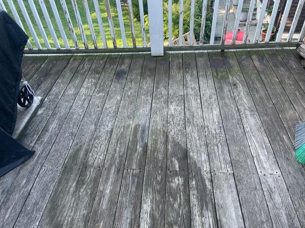 Professional lawn care service in Port Chester, NY by Ricky Tree & Landscaping Services