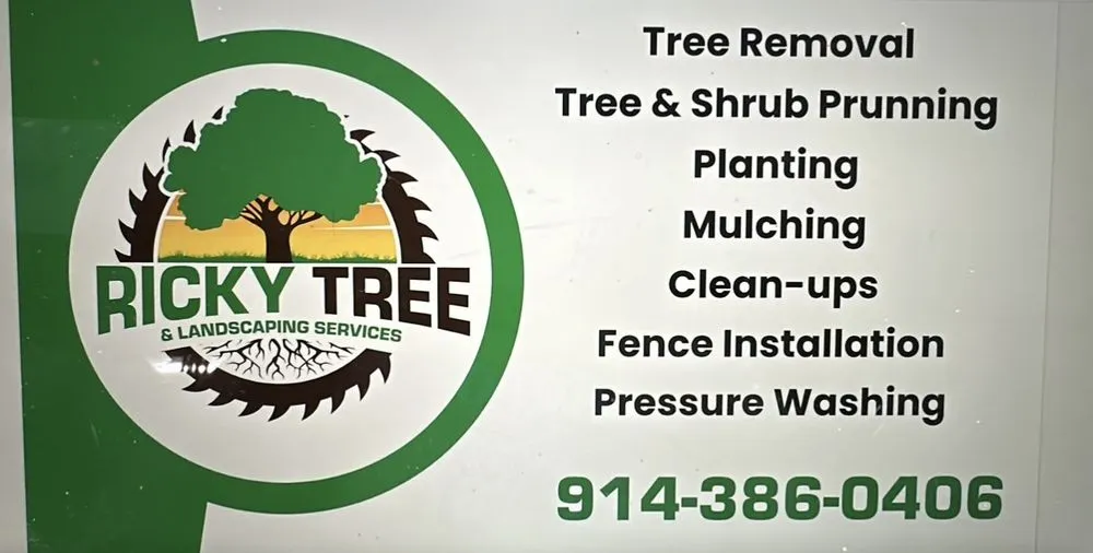 Reliable yard cleanup service experts serving Port Chester, NY - Ricky Tree & Landscaping Services