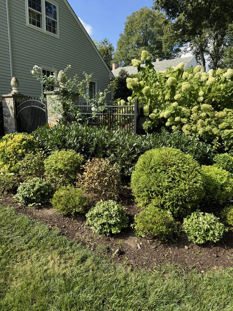 Custom landscaping services in Port Chester, NY by Ricky Tree & Landscaping Services