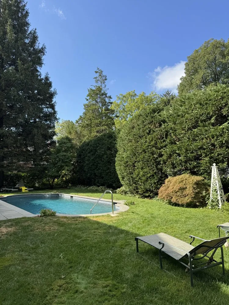 Affordable lawn care service in Port Chester, NY by Ricky Tree & Landscaping Services