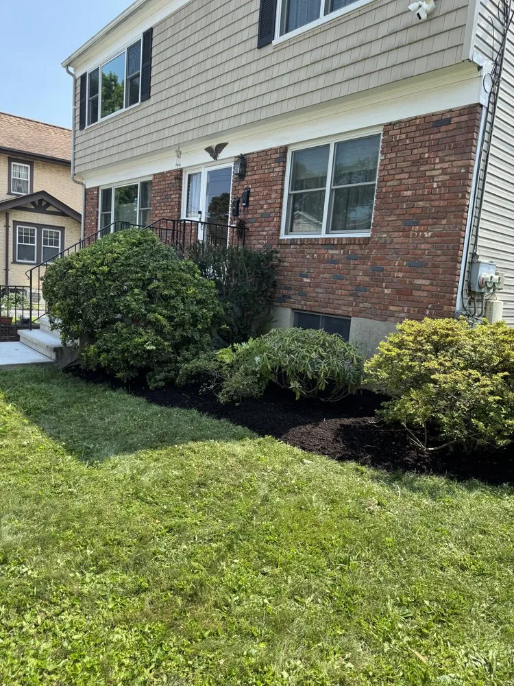 Affordable yard cleanup service experts serving Port Chester, NY - Ricky Tree & Landscaping Services