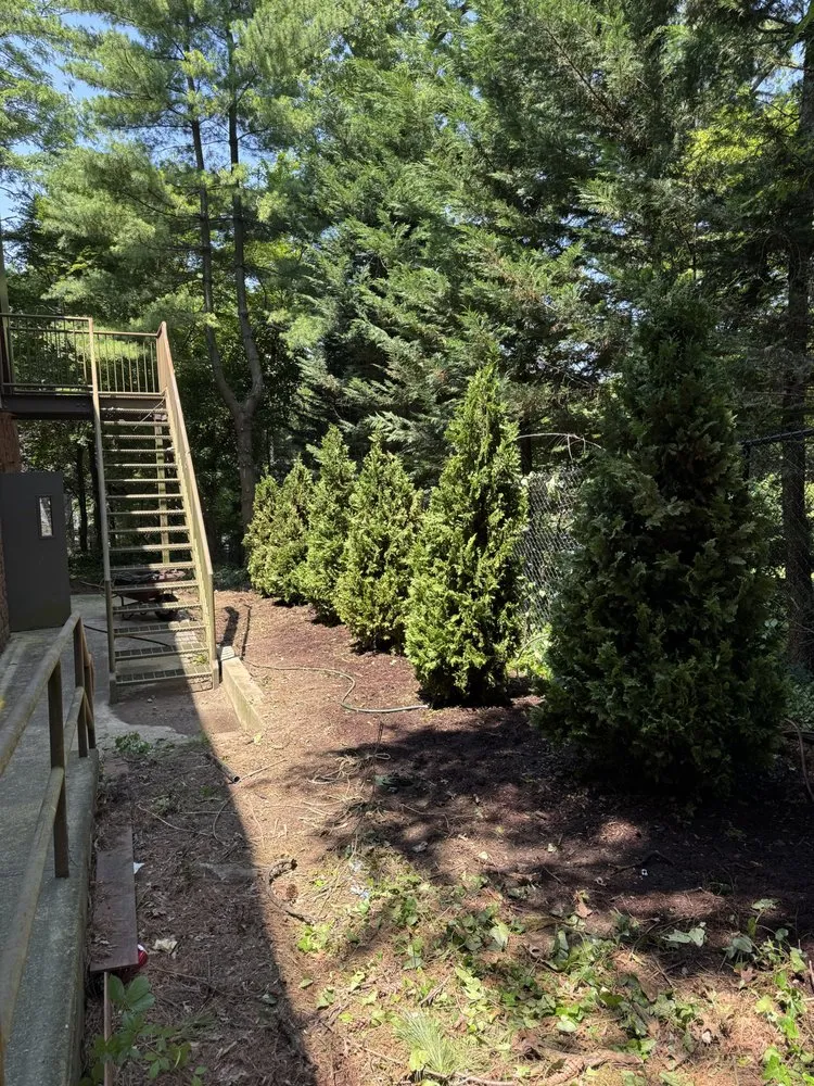 Reliable lawn care service experts serving Port Chester, NY - Ricky Tree & Landscaping Services