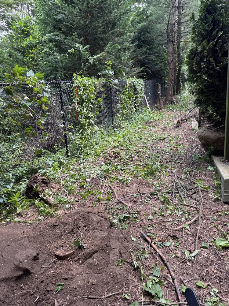 Affordable lawn mowing service for year-round maintenance across Port Chester, NY - Ricky Tree & Landscaping Services