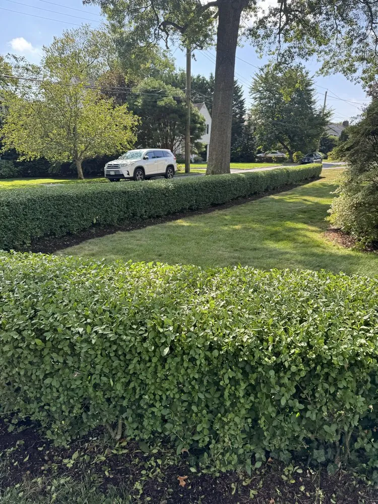 Reliable landscape installation for beautiful yards in Port Chester, NY by Ricky Tree & Landscaping Services