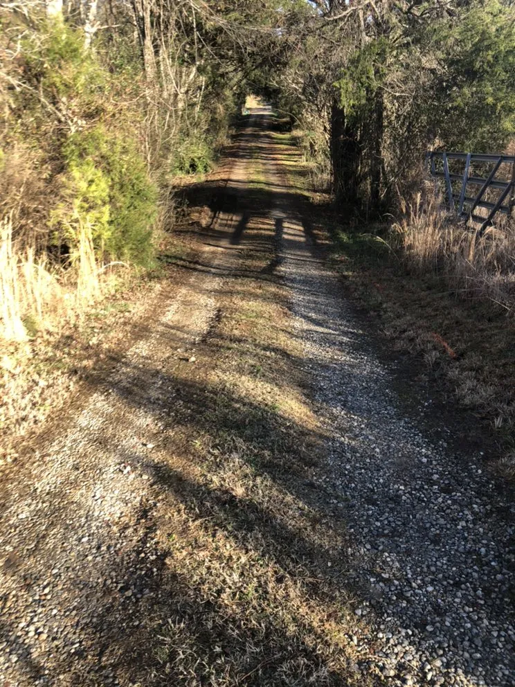 Local landscaping services for year-round maintenance in Spartanburg, SC by Ricky's Bobcat