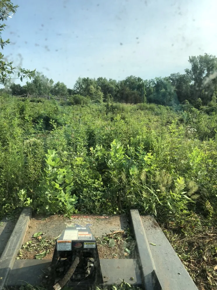 Professional lawn mowing service in Spartanburg, SC - Ricky's Bobcat