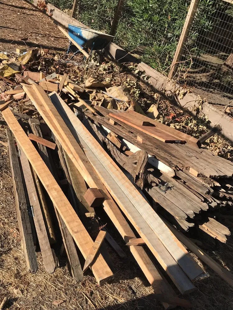 Affordable lawn mowing service in Lodi, CA by Rickys Gardens Landscaping