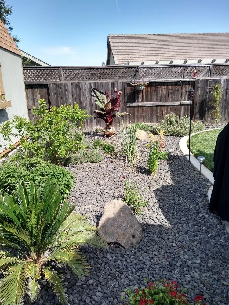 Custom residential landscaping for year-round maintenance across Lodi, CA - Rickys Gardens Landscaping